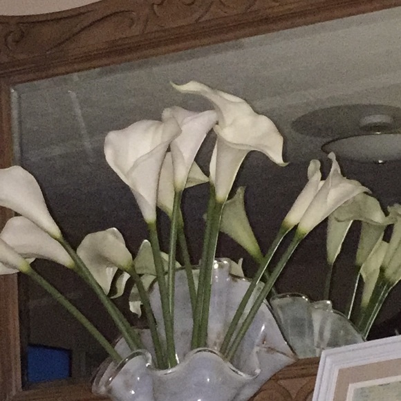 Meet your Posher, Nancy - Picture 1 of 1